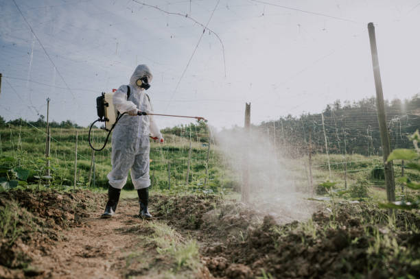 Best Pest Control Treatment  in Concordia, KS