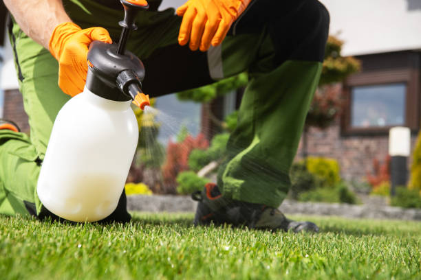 Best Pest Removal Services  in Concordia, KS