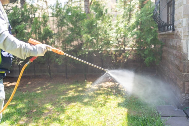 Insect Control in Concordia, KS