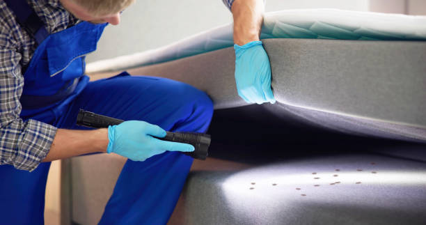 Best Wasp Removal Services  in Concordia, KS