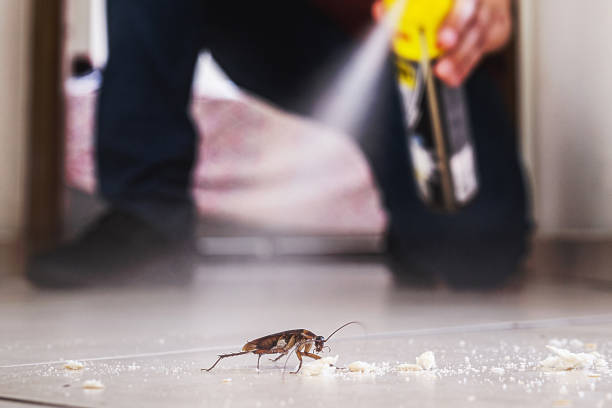 Best Wildlife Control Services  in Concordia, KS