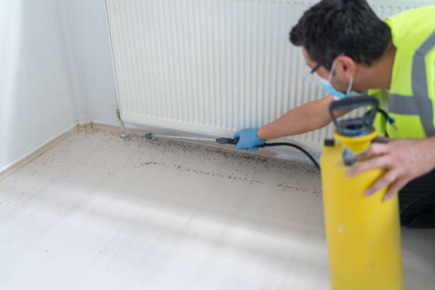 Best Cockroach Control Services  in Concordia, KS
