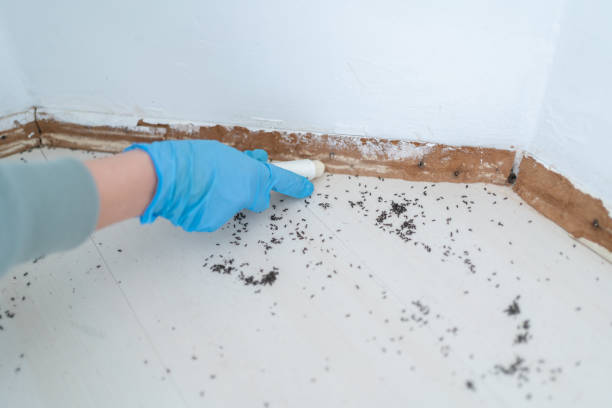 Best Residential Pest Control  in Concordia, KS