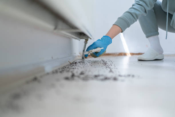 Best Residential Pest Control  in Concordia, KS