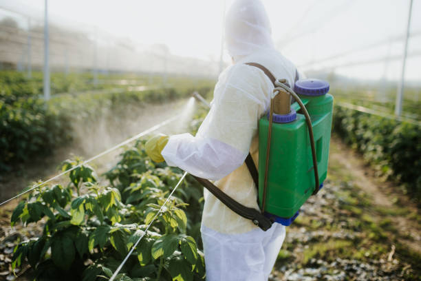 Trusted Concordia, KS Pest Control Experts